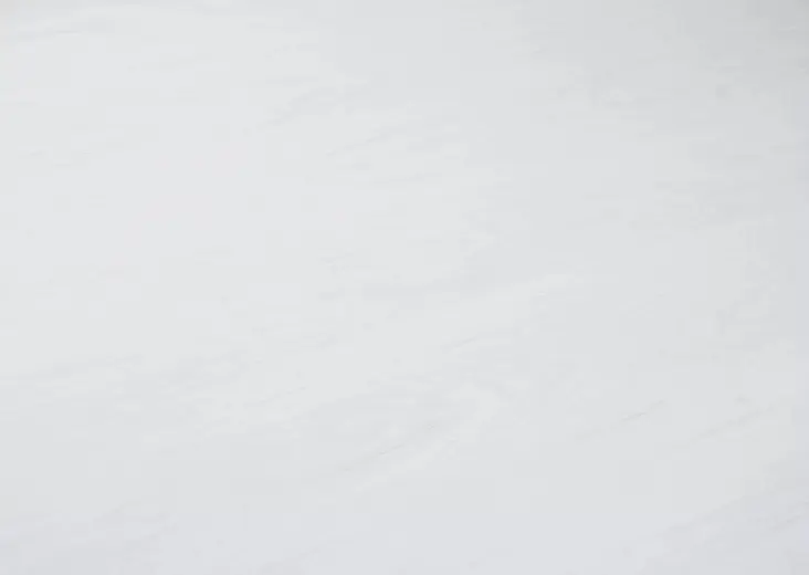 SPC ламинат Evofloor Optima Дуб Арктический - фото интерьера 4
