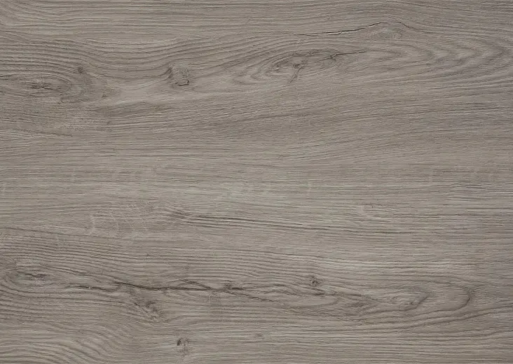 SPC ламинат Alpine Floor Sequoia Секвойя Титан ЕСО 6-1 - фото интерьера 1