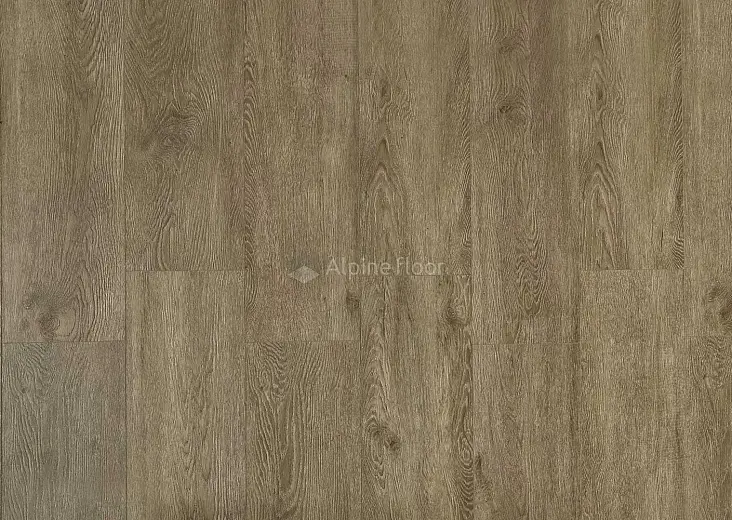 SPC виниловые полы Alpine Floor Grand Sequoia Маслина ECO 11-11 - фото интерьера 3