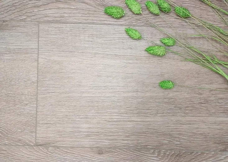 SPC ламинат Aspenfloor Trend Дуб Классический TR2-05 - фото интерьера