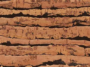 Клеевой пробковый пол Corkstyle Natural Cork Tigre