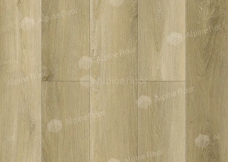 SPC ламинат Alpine Floor Intense Дубовый (Тихий) Лес ЕСО 9-13 - фото интерьера