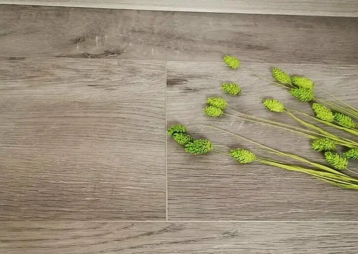 SPC ламинат Aspenfloor Premium Wood XL Дуб Аляска PW4-02 - фото интерьера