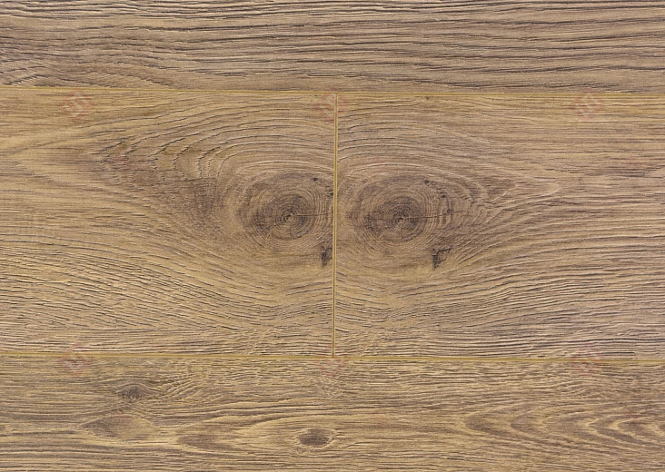 Дуб Бертон ROC46