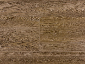 Дуб Бисмарк