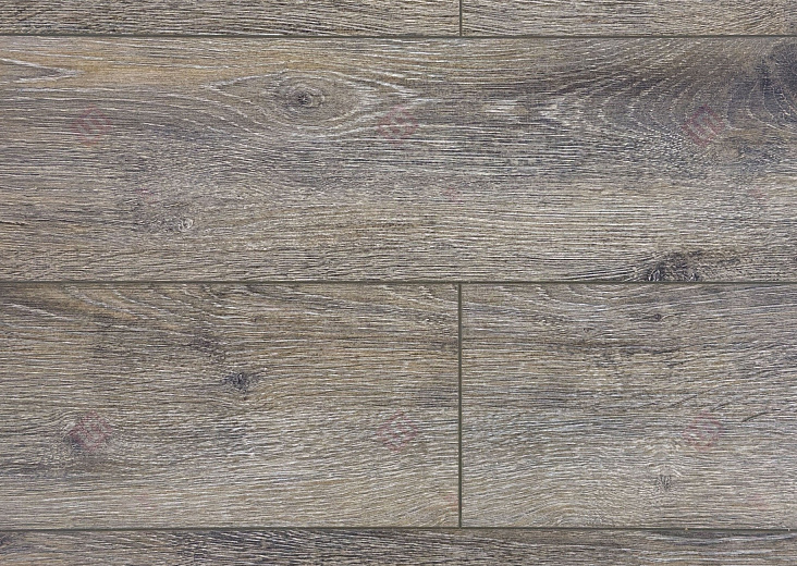 Ламинат FLoor a House Premium 10 мм Дуб Baron B 540