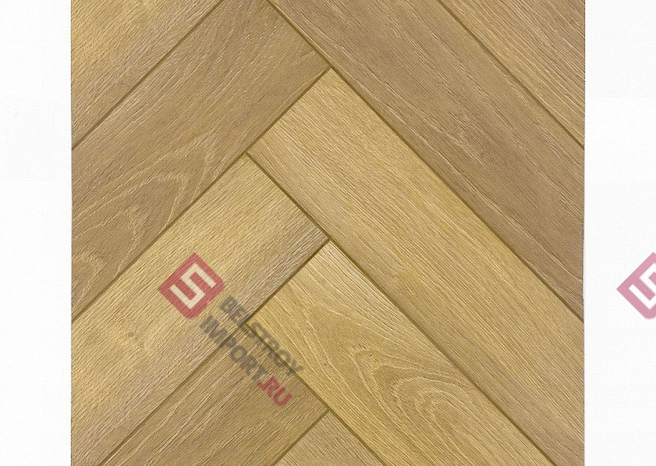 Мехико 5501