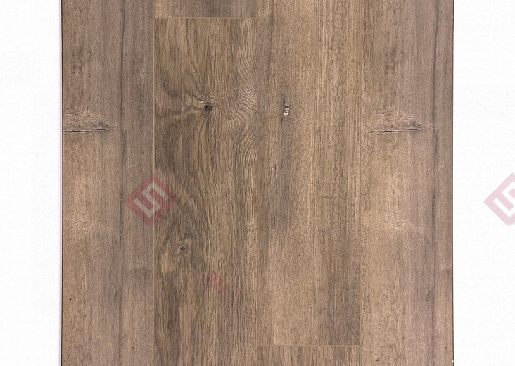 Ламинат FloorWay Standart Дуб Лимед PRE64
