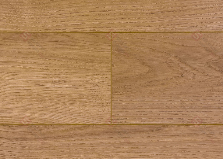 Ламинат Icon Floor Lime Ultra Дуб Спрингстин LM-407