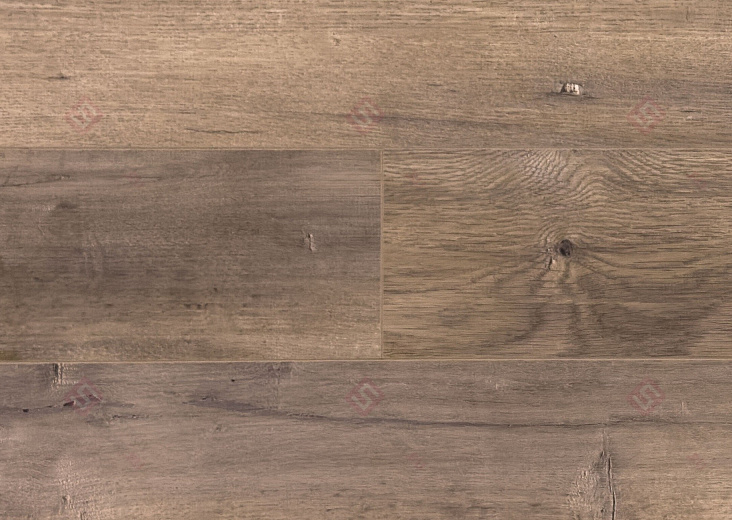 Ламинат FloorWay Standart Дуб Лимед PRE64