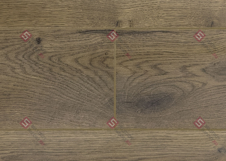 Ламинат FLoor a House Premium 10 мм Дуб York B 564