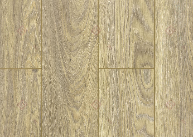 Ламинат FLoor a House Premium 10 мм Дуб Rosarno B 519