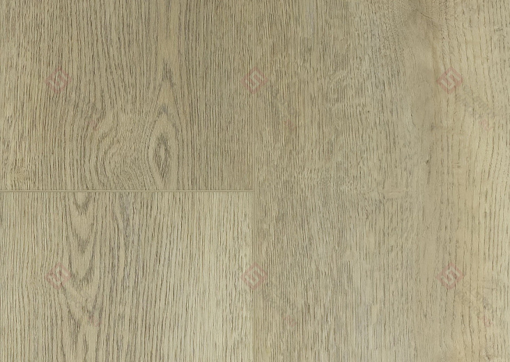 SPC ламинат Floorwood Quantum Дуб Вильсон 8604