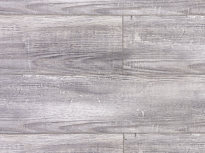 Дуб Дитрих ROC42