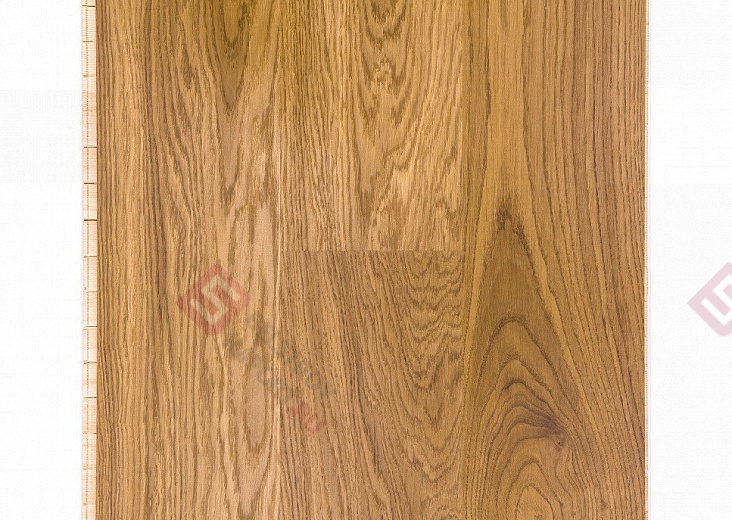Паркетная доска Focus Floor Дуб 138 Levante Laquered 1S