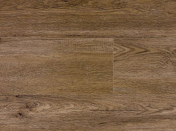 Дуб Бисмарк