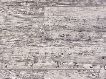 Дуб Баярд ROC43