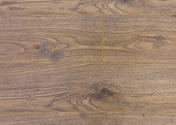 Дуб Дориан ROC47