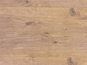 Дуб Арделан ROC45