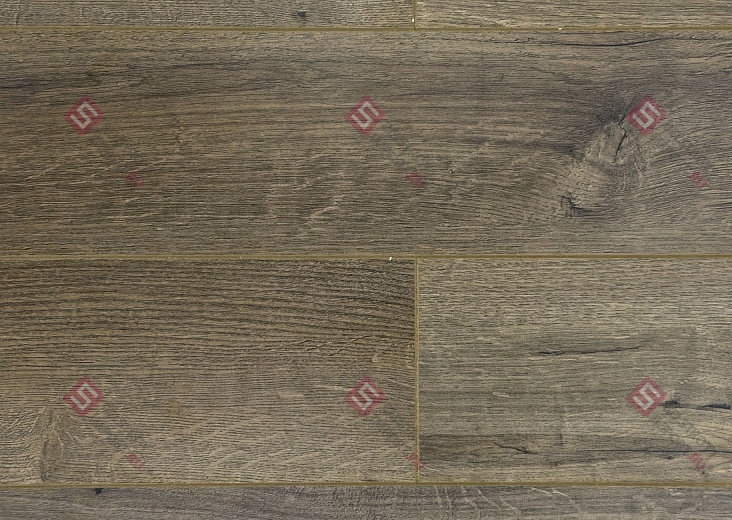 Ламинат FLoor a House Premium 10 мм Дуб Arhan B 601