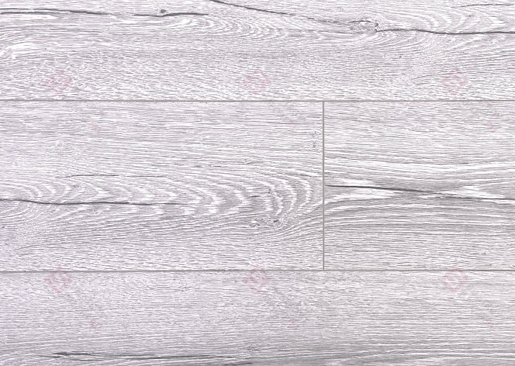 Вяз Фишер ROC03