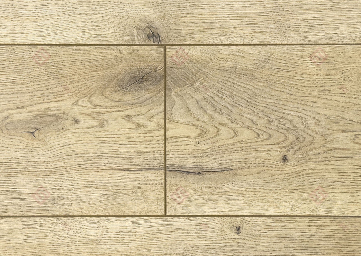 Ламинат FLoor a House Standard 12 мм Дуб Conway B 465