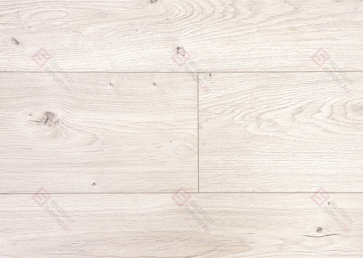 Дуб Барлоу ROC02