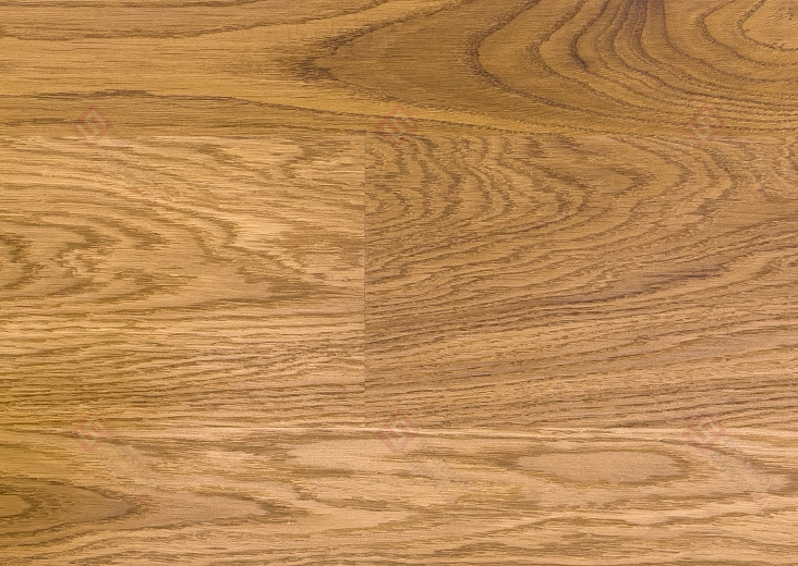 Паркетная доска Focus Floor Дуб 138 Levante Laquered 1S