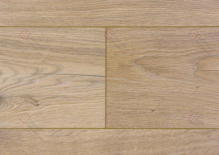 Ламинат Floorwood Paradigma Дуб Риман 8335