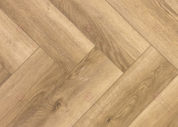 Георгин ECO 103-15