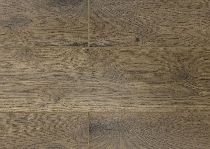 Ламинат FLoor a House Premium 10 мм Дуб York B 564