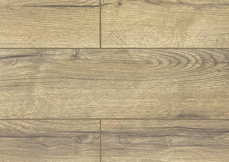 Ламинат FLoor a House Premium 10 мм Дуб Lagom B 557