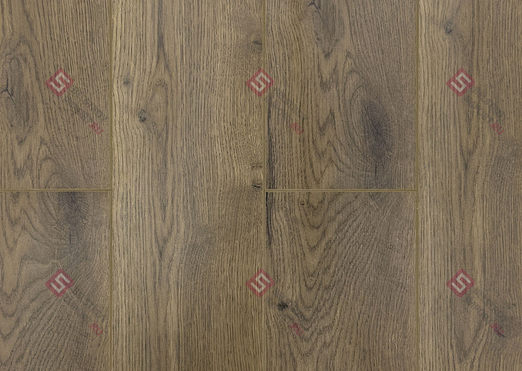 Ламинат FLoor a House Premium 10 мм Дуб York B 564
