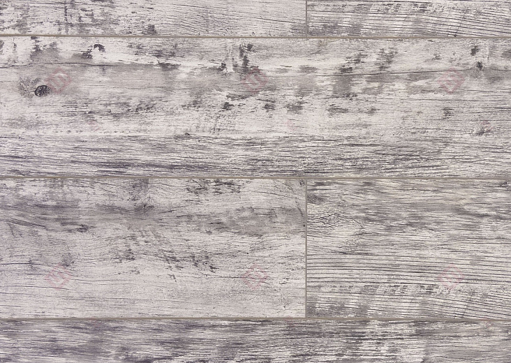 Дуб Баярд ROC43