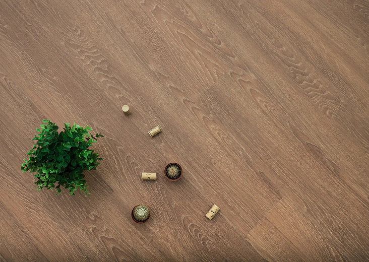 Кварц-виниловая плитка Ecoclick Eco Wood Dry Back Дуб Арагон NOX-1714 - фото интерьера 3