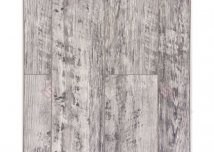 Дуб Баярд ROC43