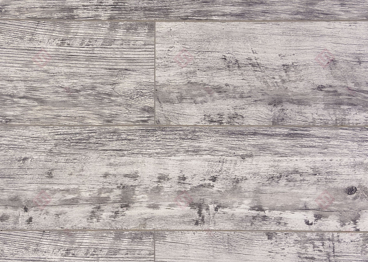 Дуб Баярд ROC43