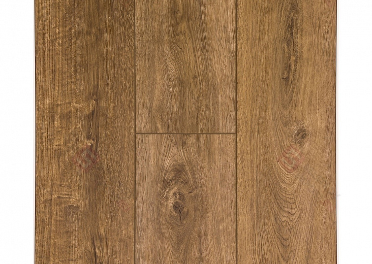 Коричневый DT011408