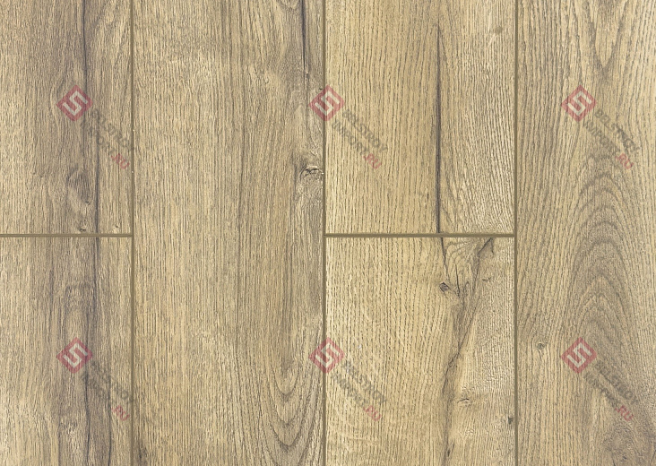 Ламинат FLoor a House Premium 10 мм Дуб Lagom B 557