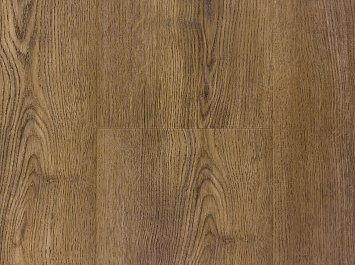 Дуб прибрежный OSPC20265