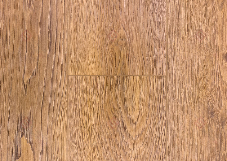 Ламинат Royce 8.32 Вяз Альбрехт ROC09