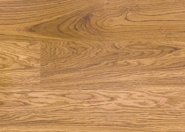 Паркетная доска Focus Floor Дуб 138 Levante Laquered 1S
