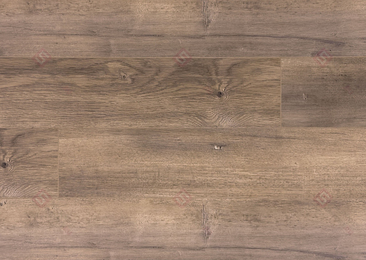 Ламинат FloorWay Standart Дуб Лимед PRE64