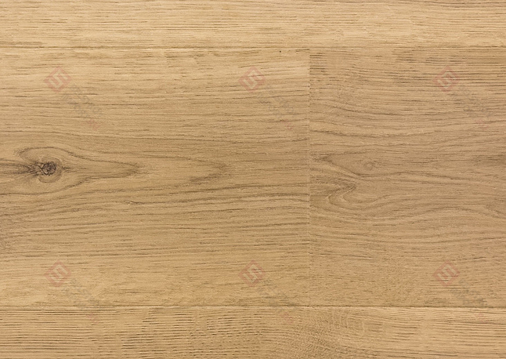 Дуб Субтропический IM8603