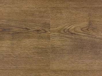 Дуб прибрежный OSPC20265