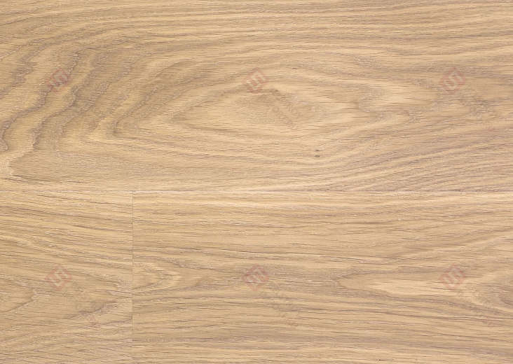 Паркетная доска Focus Floor Дуб Prestige Calima White Oiled 1S