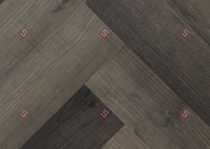 Эльчито 4V