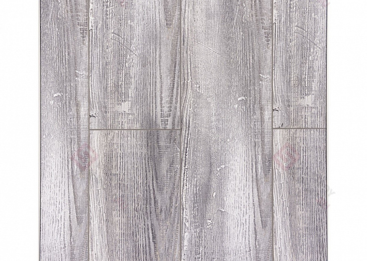 Дуб Дитрих ROC42