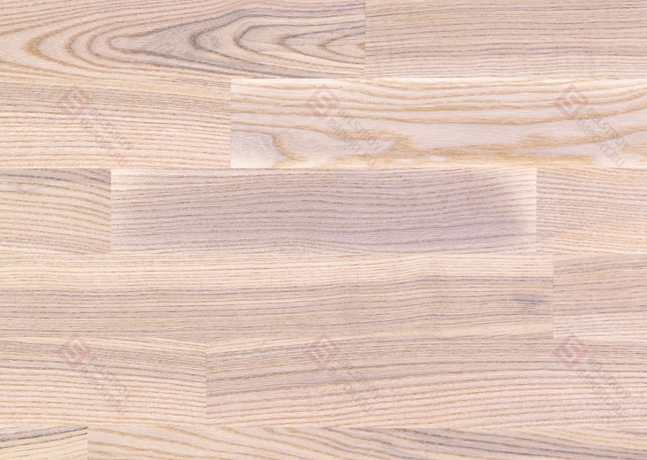 Паркетная доска Focus Floor Ясень Mistral White Matt 3S