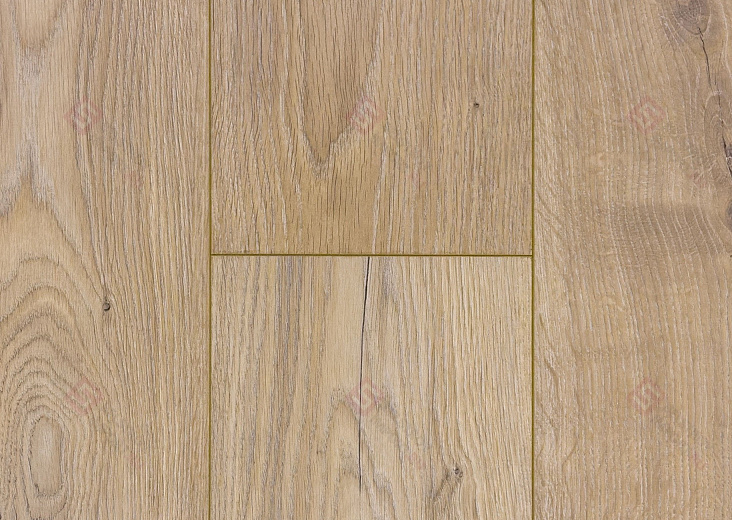 Ламинат Floorwood Paradigma Дуб Риман 8335